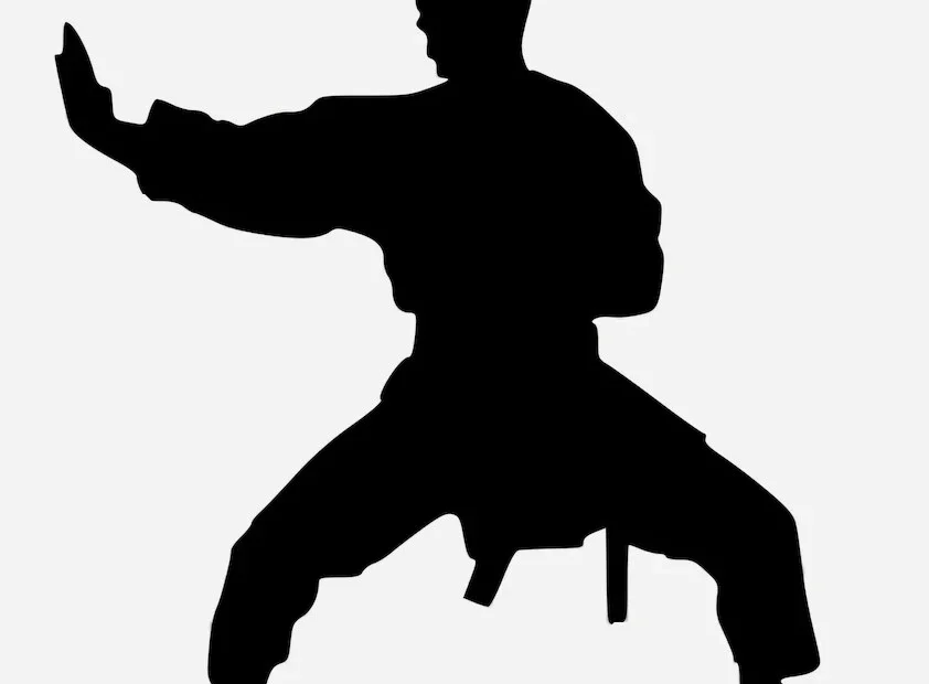 Martial Arts Stance Kung fu Karate