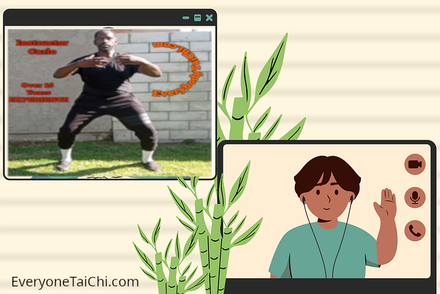 online tai chi training 1 on 1