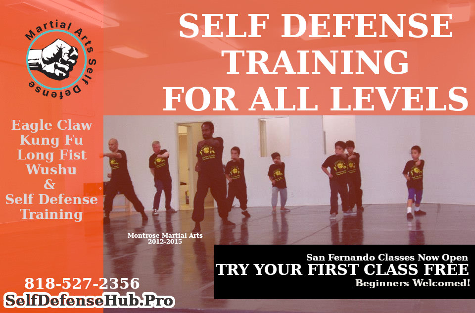 Kung Fu Class in San Fernando